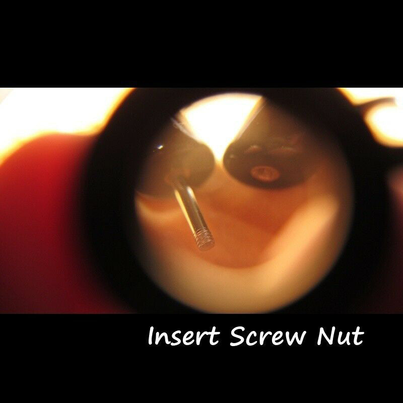 Acrylic Fake Auricle Stainless Steel Asymmetric Snail Earrings