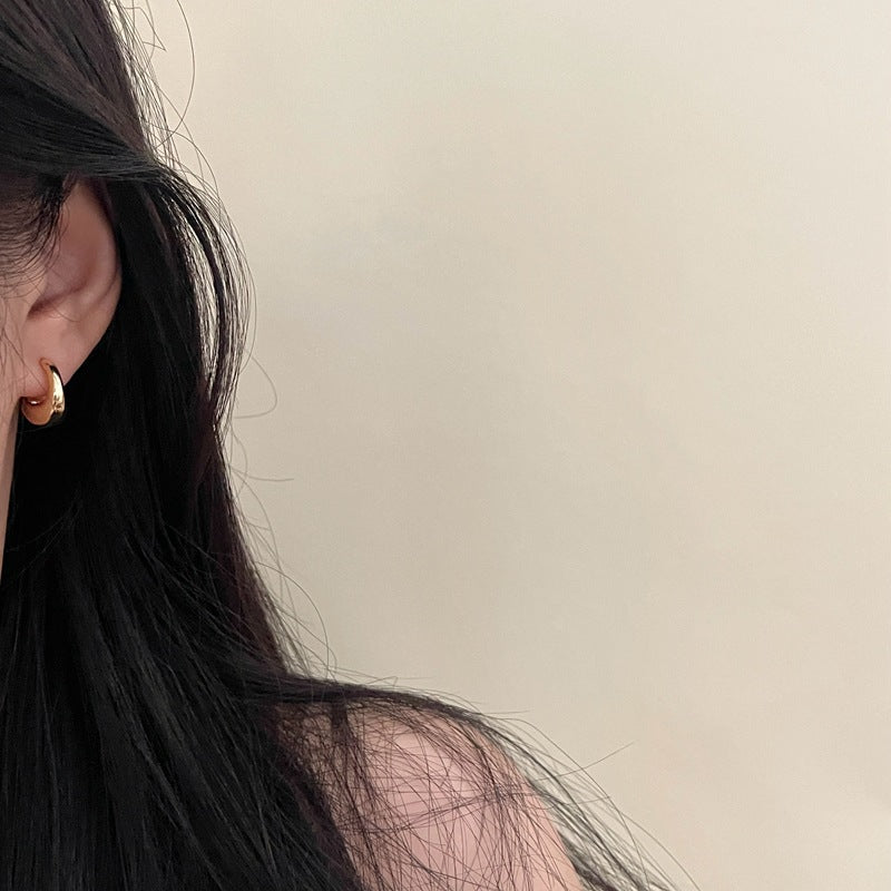 Wild Niche High-grade Light Luxury Sier Needle Earrings