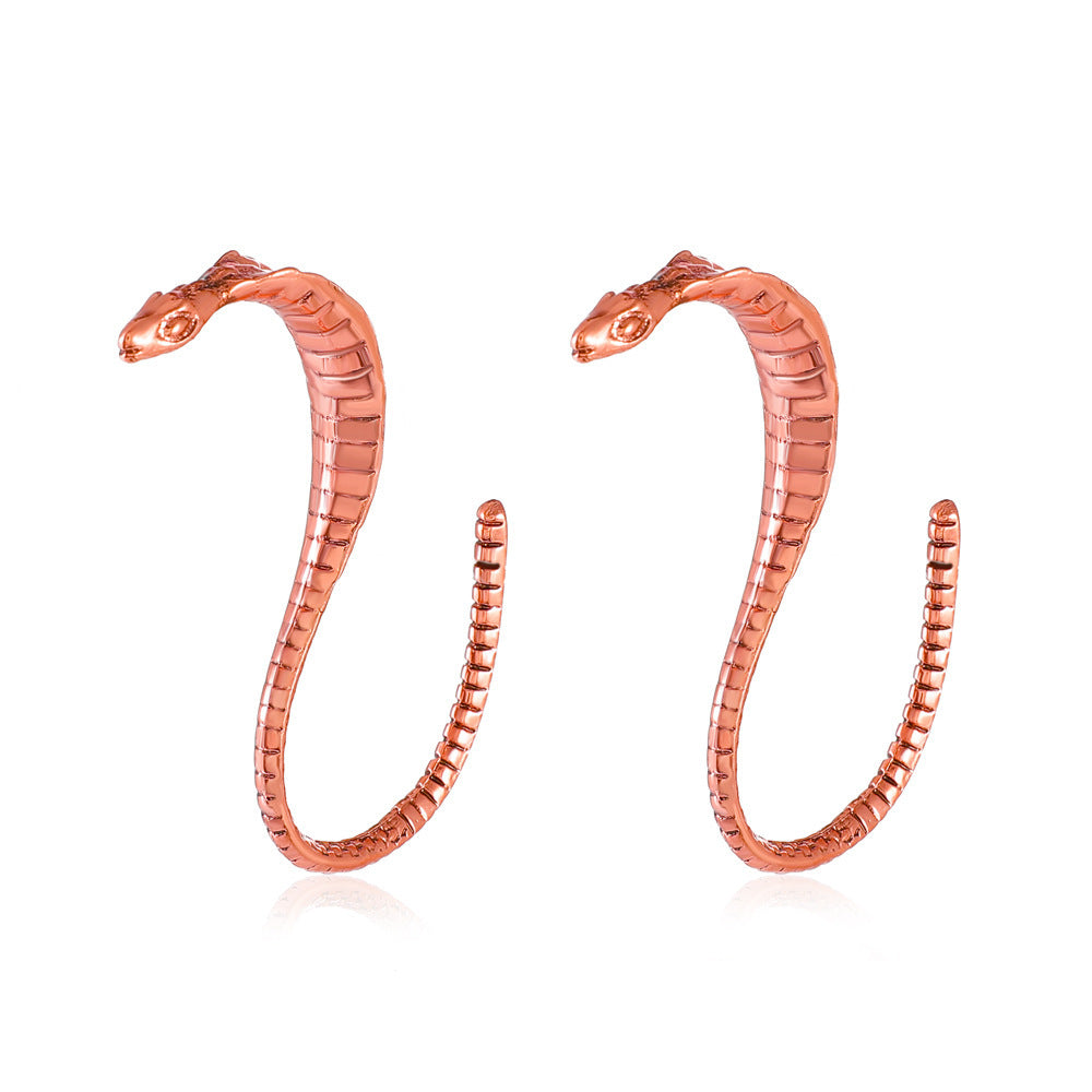 Exaggerated Snake Graceful Personality Pattern Ear Earrings