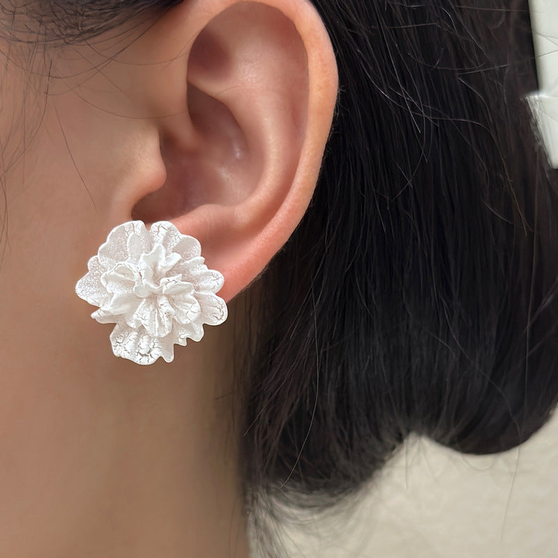 Special Interest Light Luxury Simple Graceful Earrings