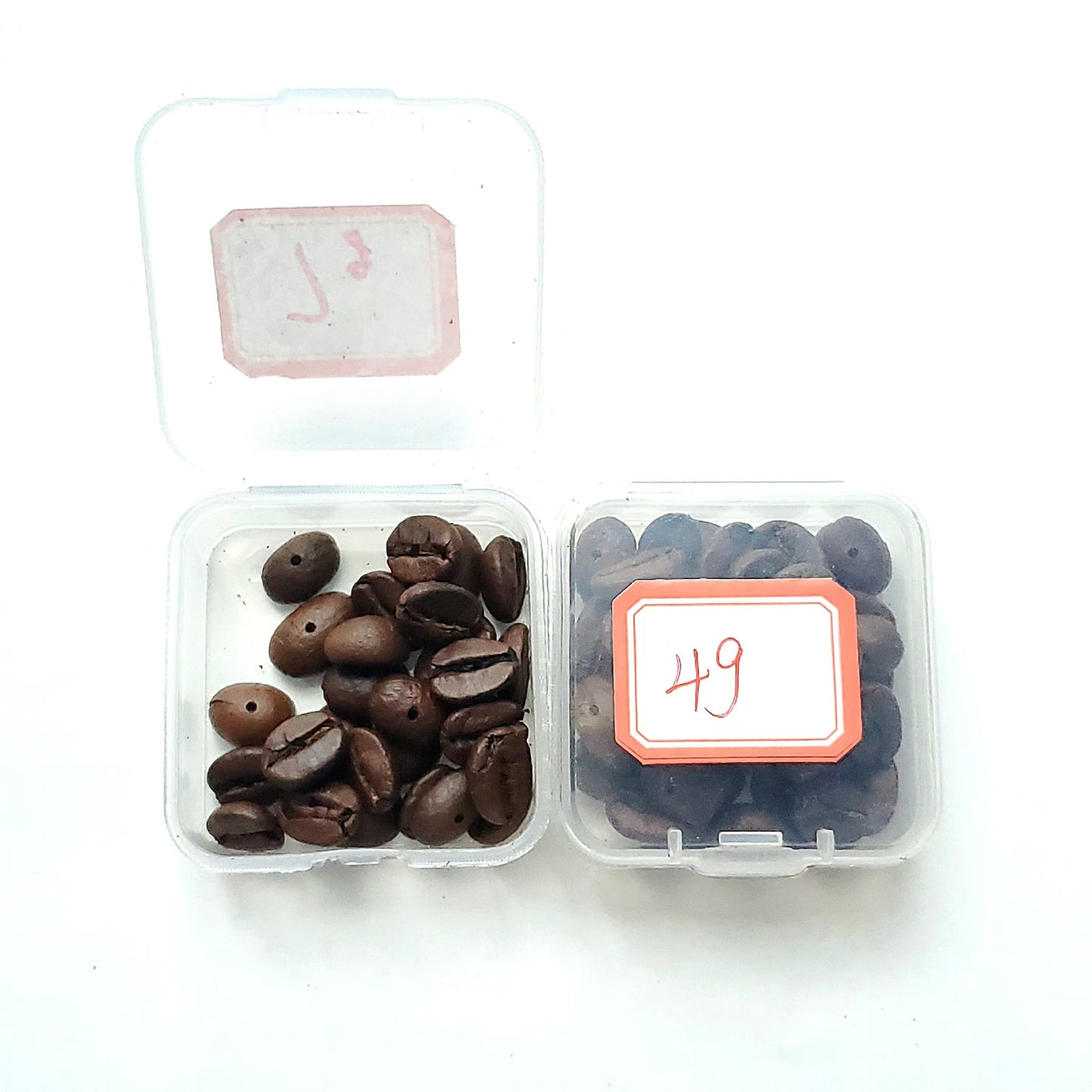 One Thousand Pieces Per Bottle Get Bracelets