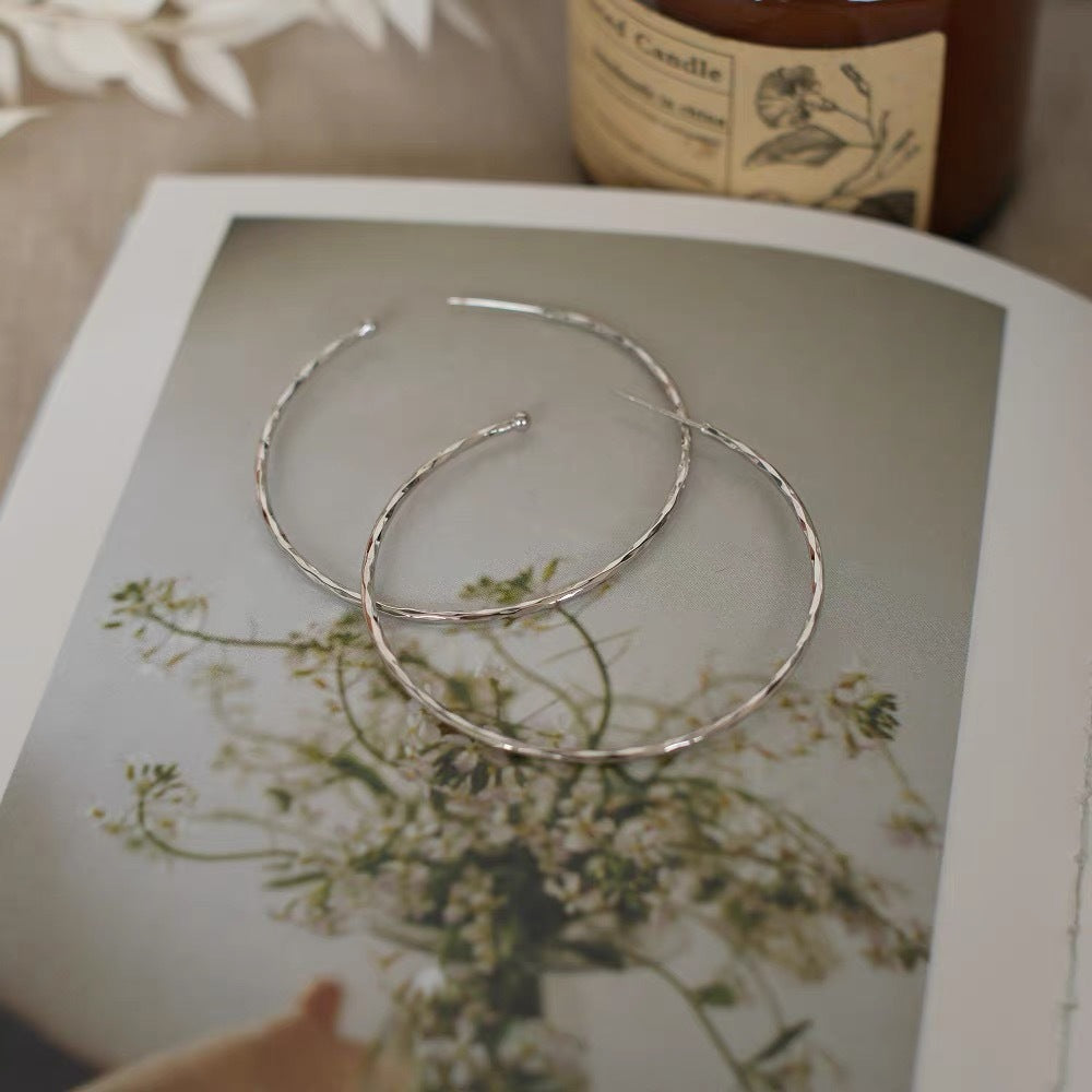 Big Circle Temperamental Minority Ear Mosquito Earrings