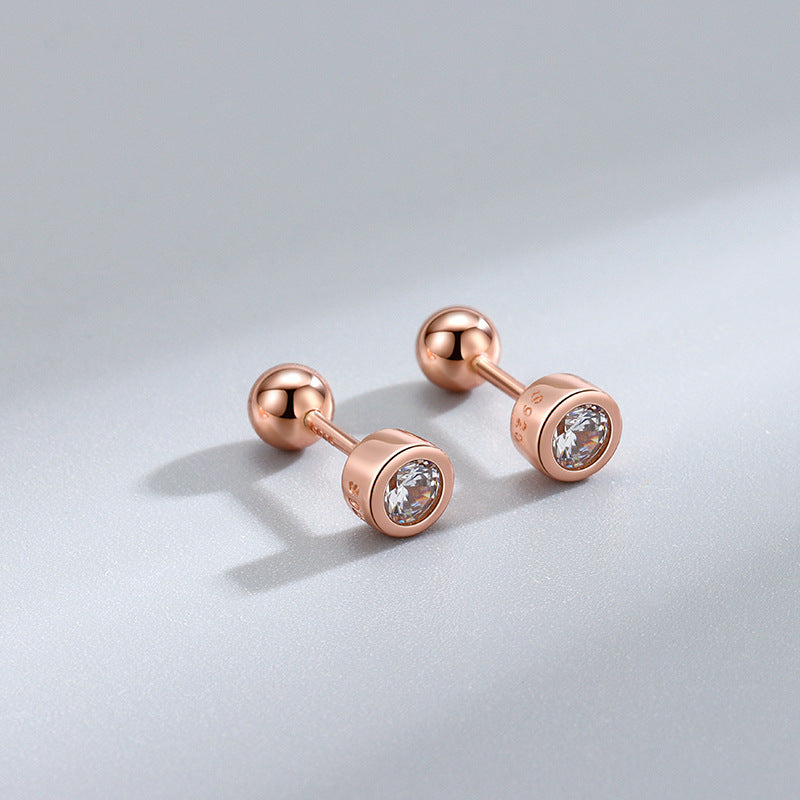 Bag With Round Screw Needle Free Of Earrings