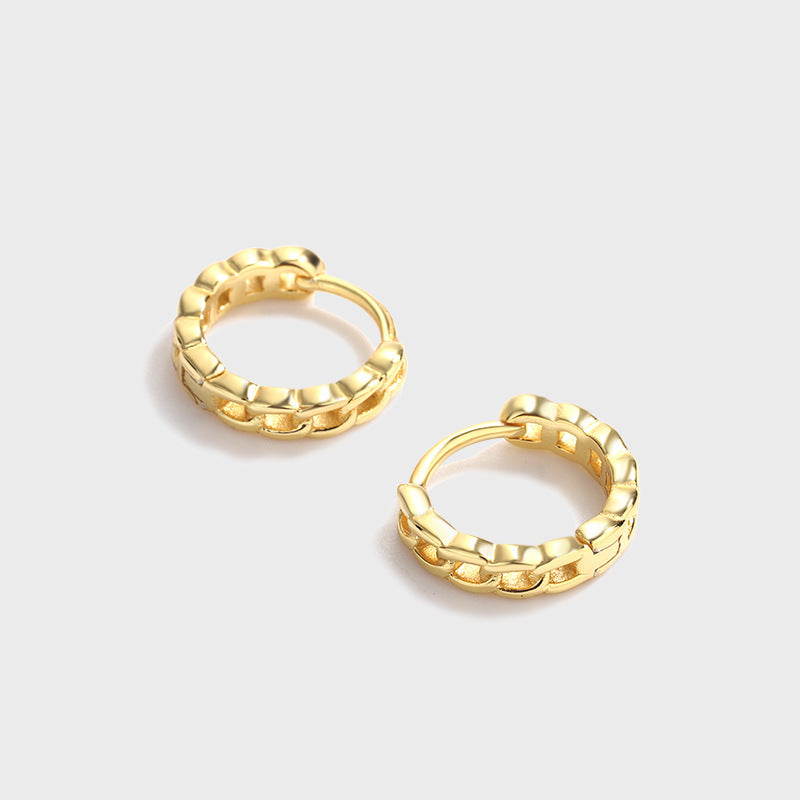 Light Luxury Niche Bag Advanced Metal Earrings