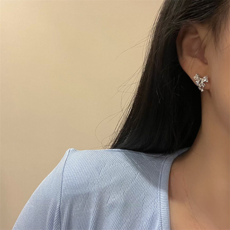 Set Exquisite Light Luxury Minority Design Earrings