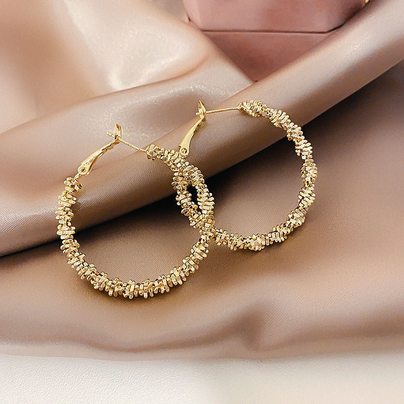 Women's Luxury High-grade Sier Needle Simple Elegance Earrings