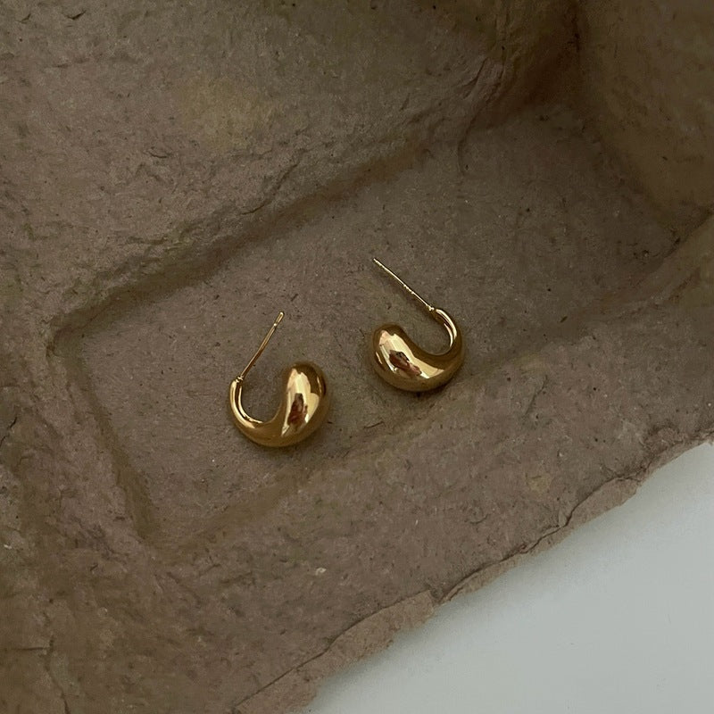 Wild Niche High-grade Light Luxury Sier Needle Earrings