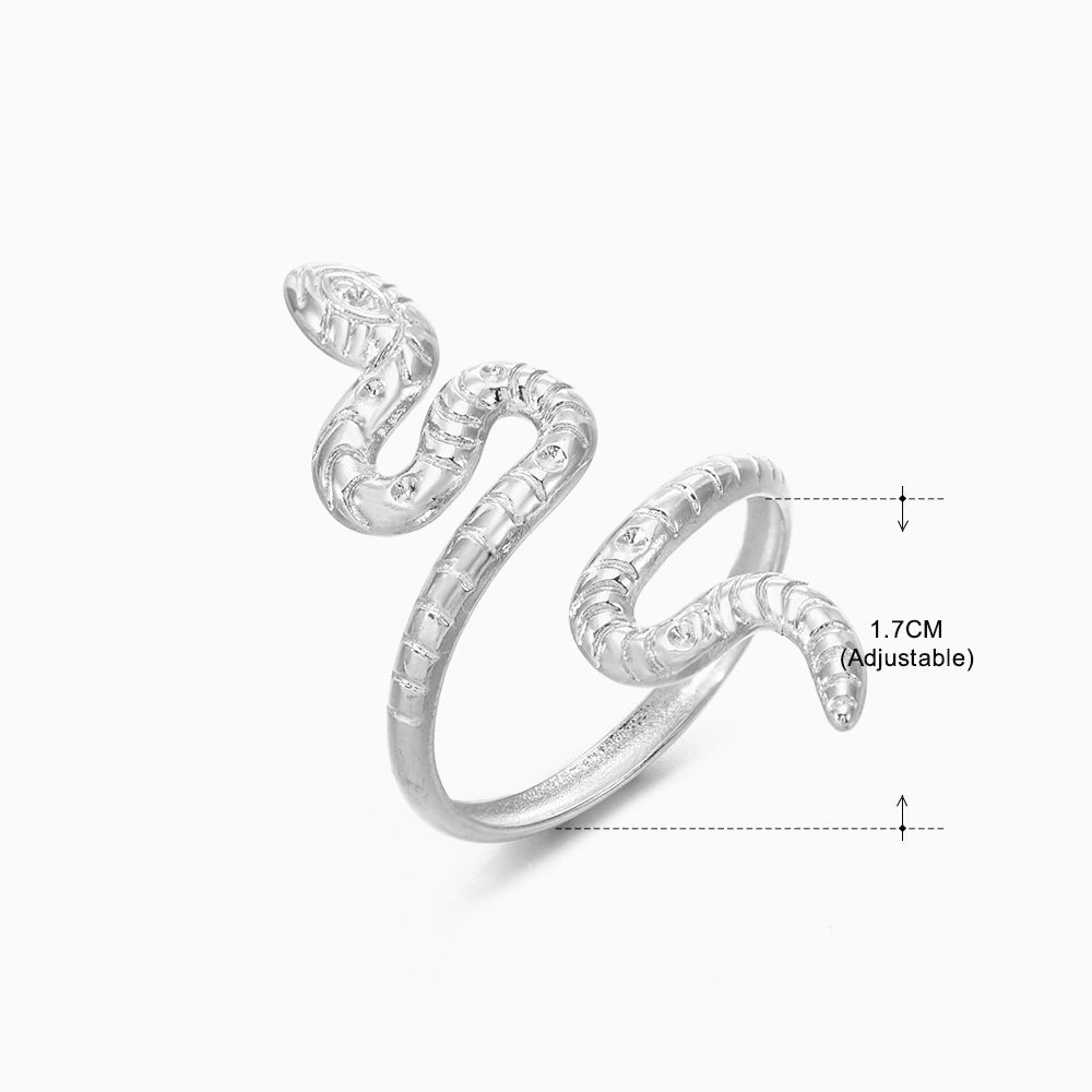 Women's Popular Stainless Steel Geometric Ellipse French Retro Rings