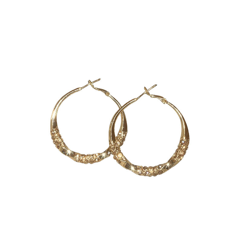 Sier Needle High-grade Twisted Rhinestone Ear Earrings