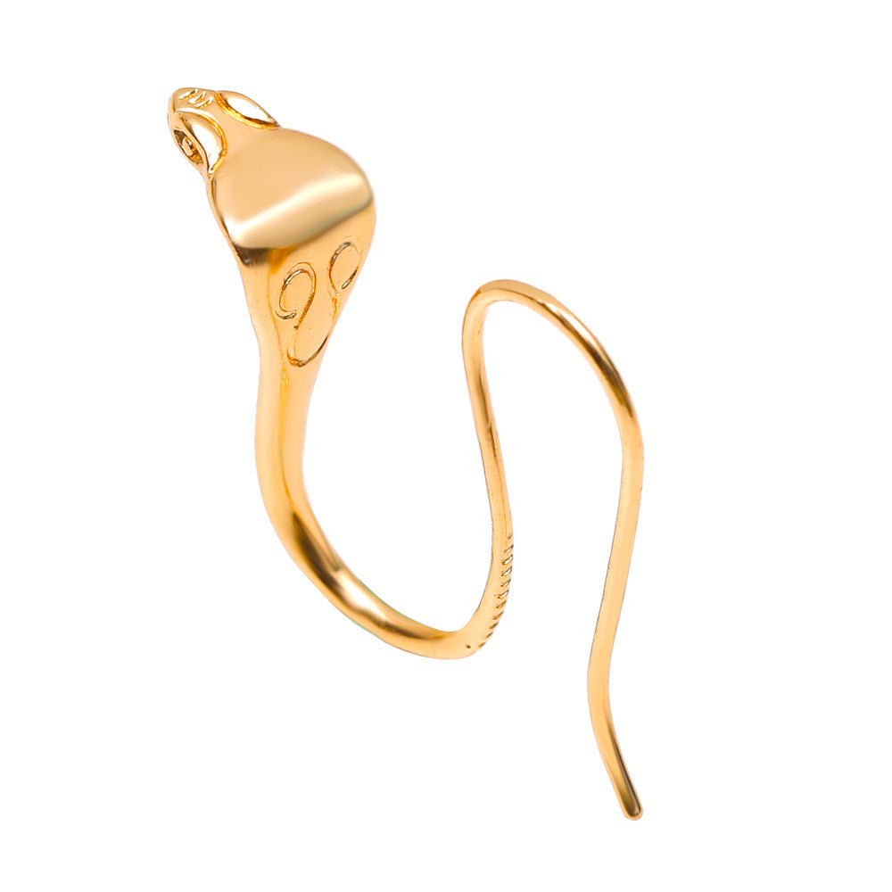 Exaggerated Snake Graceful Personality Pattern Ear Earrings