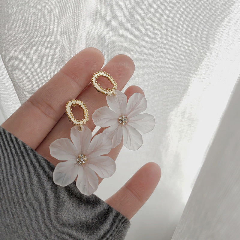 Women's Luxury High-grade Sier Needle Simple Elegance Earrings