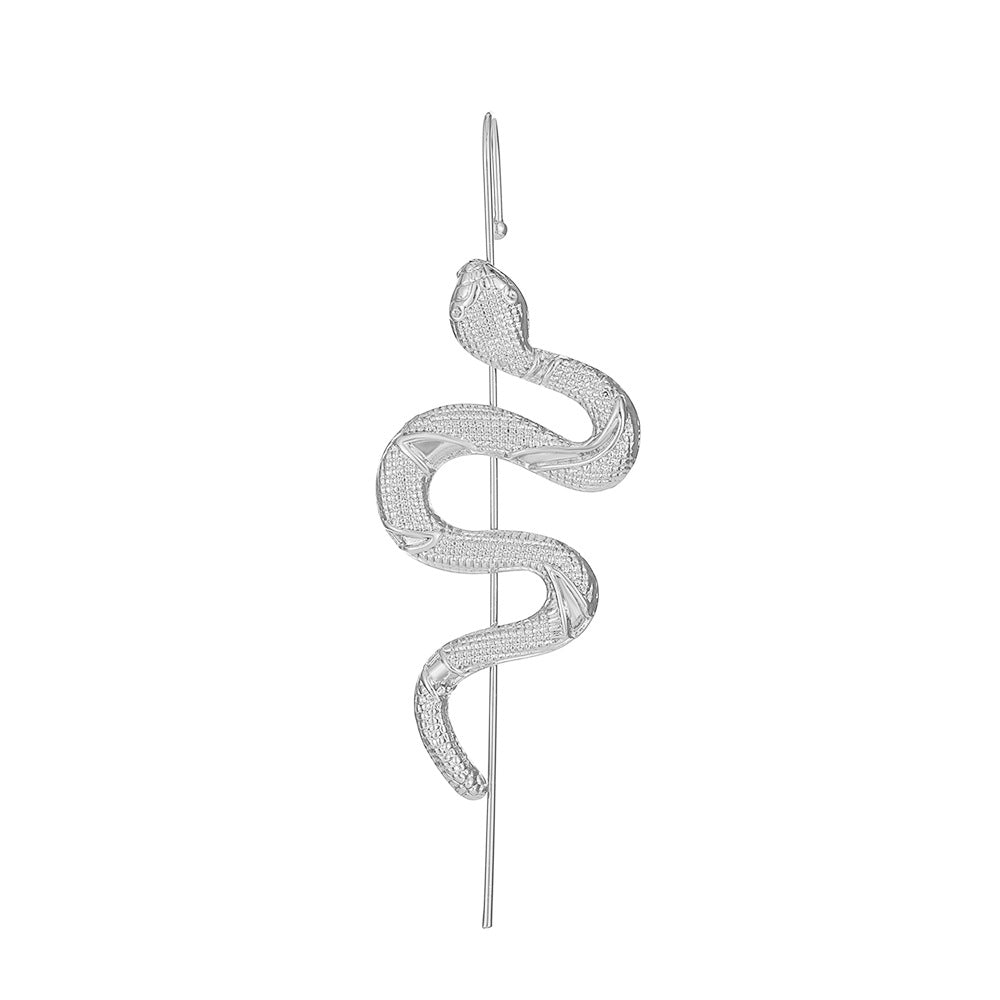Exaggerated Snake Graceful Personality Pattern Ear Earrings
