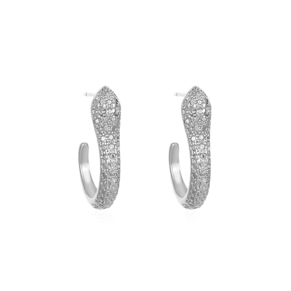 Exaggerated Snake Graceful Personality Pattern Ear Earrings