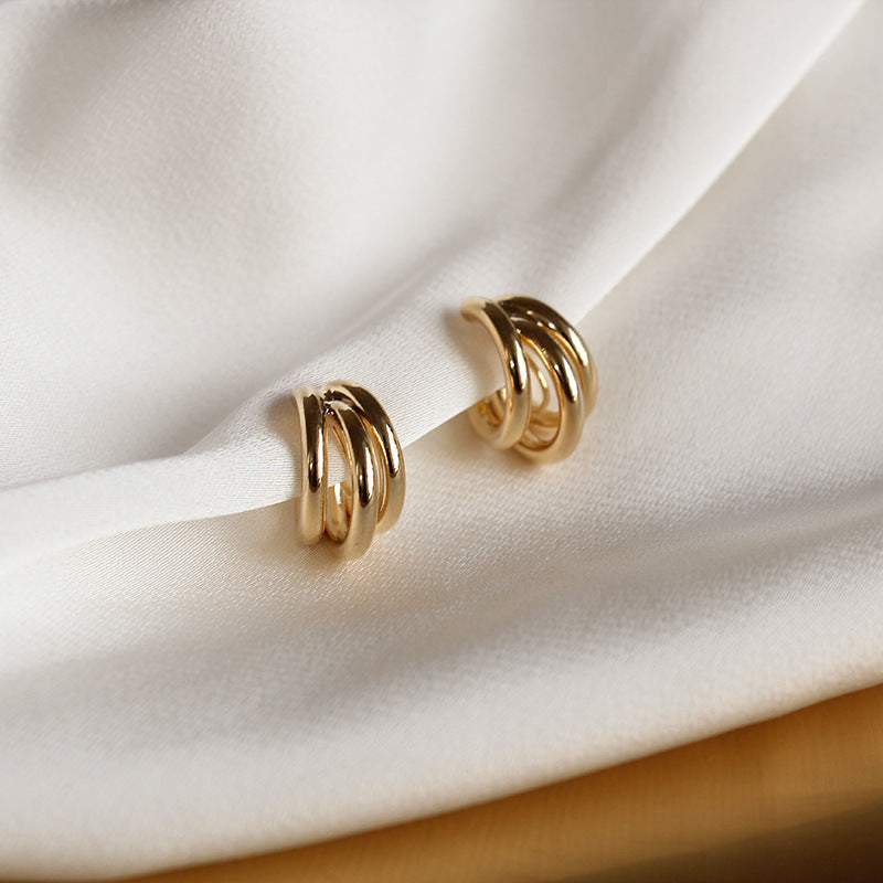 Women's Luxury High-grade Sier Needle Simple Elegance Earrings