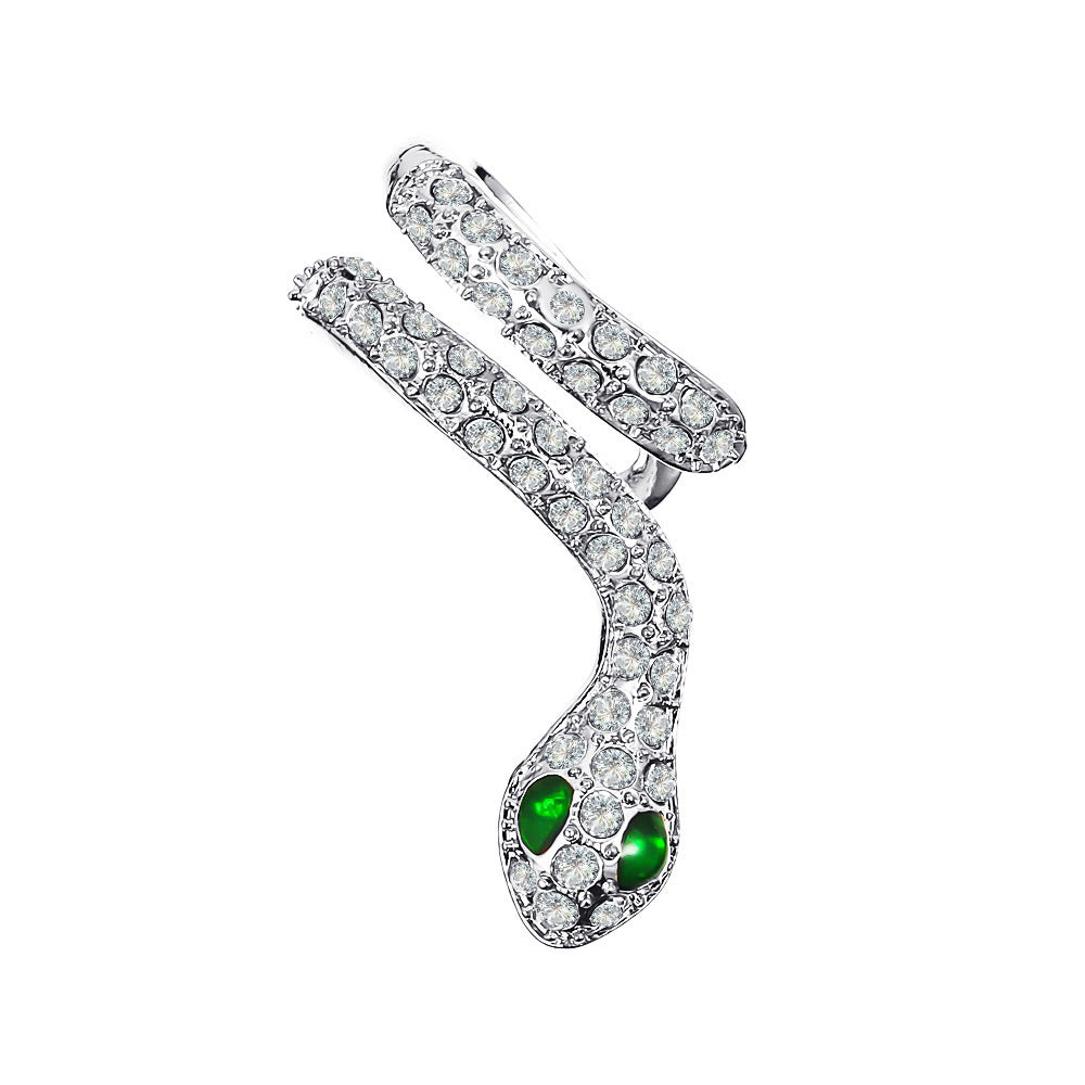 Exaggerated Snake Graceful Personality Pattern Ear Earrings