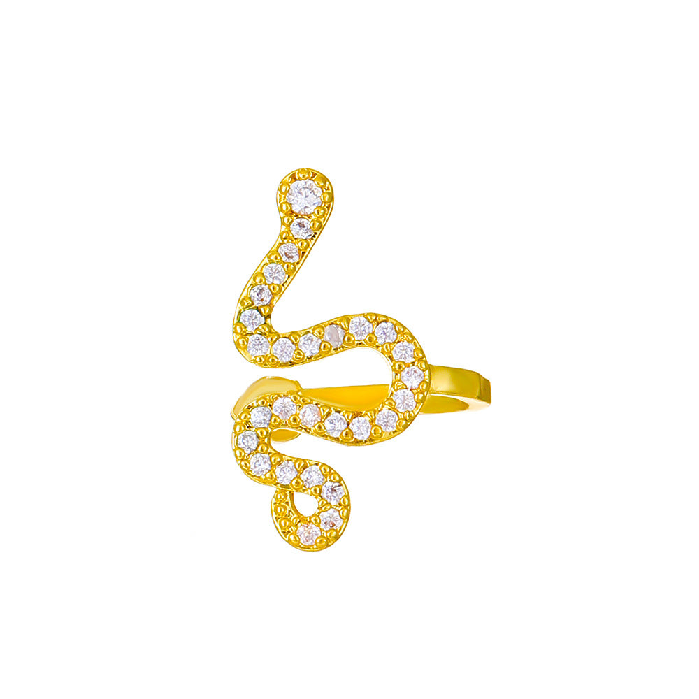 Exaggerated Snake Graceful Personality Pattern Ear Earrings