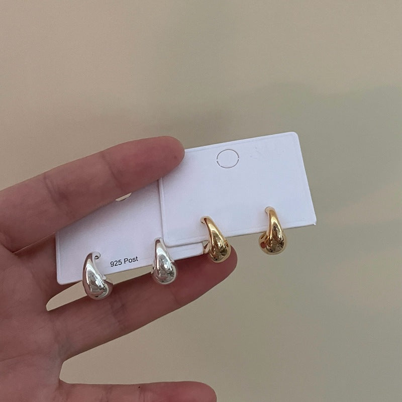 Wild Niche High-grade Light Luxury Sier Needle Earrings