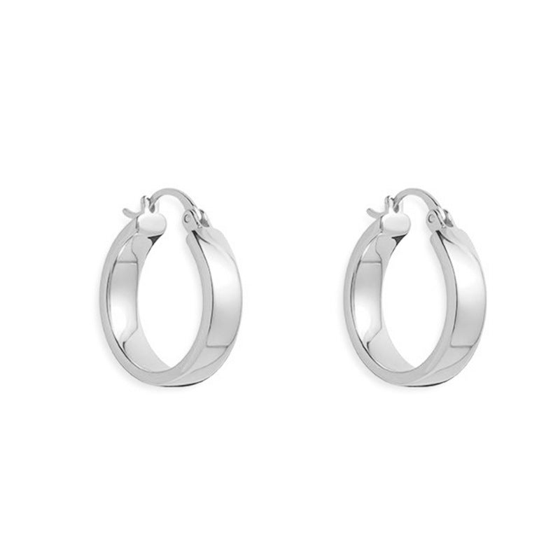 Women's Geometric Glossy For Light Luxury Minority Earrings
