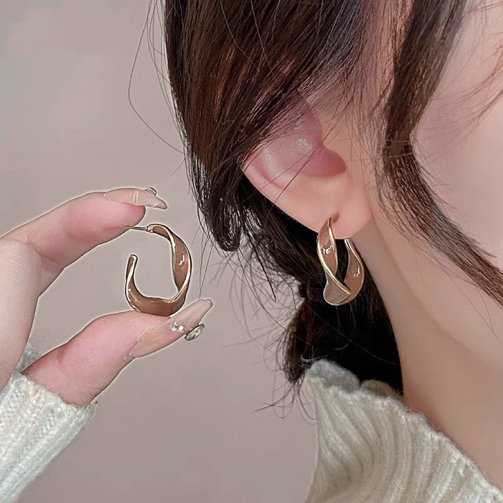Trendy Female Light Luxury Minority French Earrings