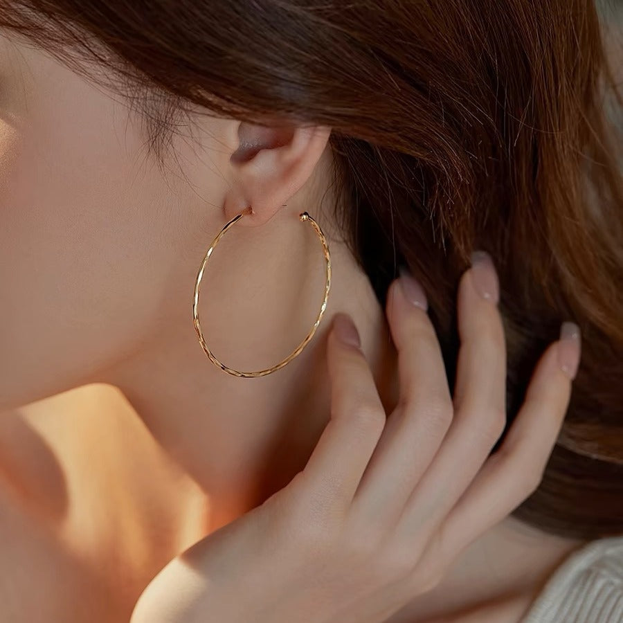 Big Circle Temperamental Minority Ear Mosquito Earrings
