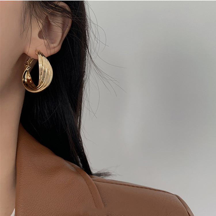Women's Luxury High-grade Sier Needle Simple Elegance Earrings