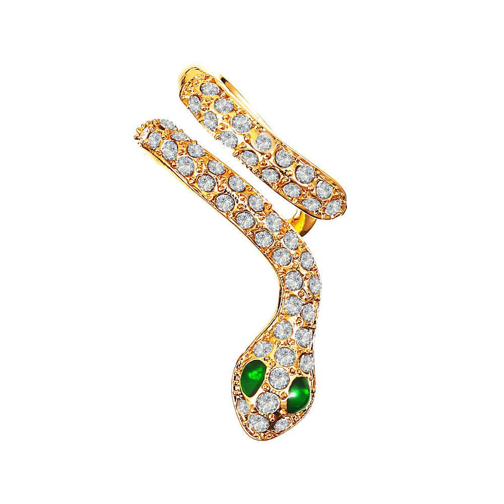 Exaggerated Snake Graceful Personality Pattern Ear Earrings