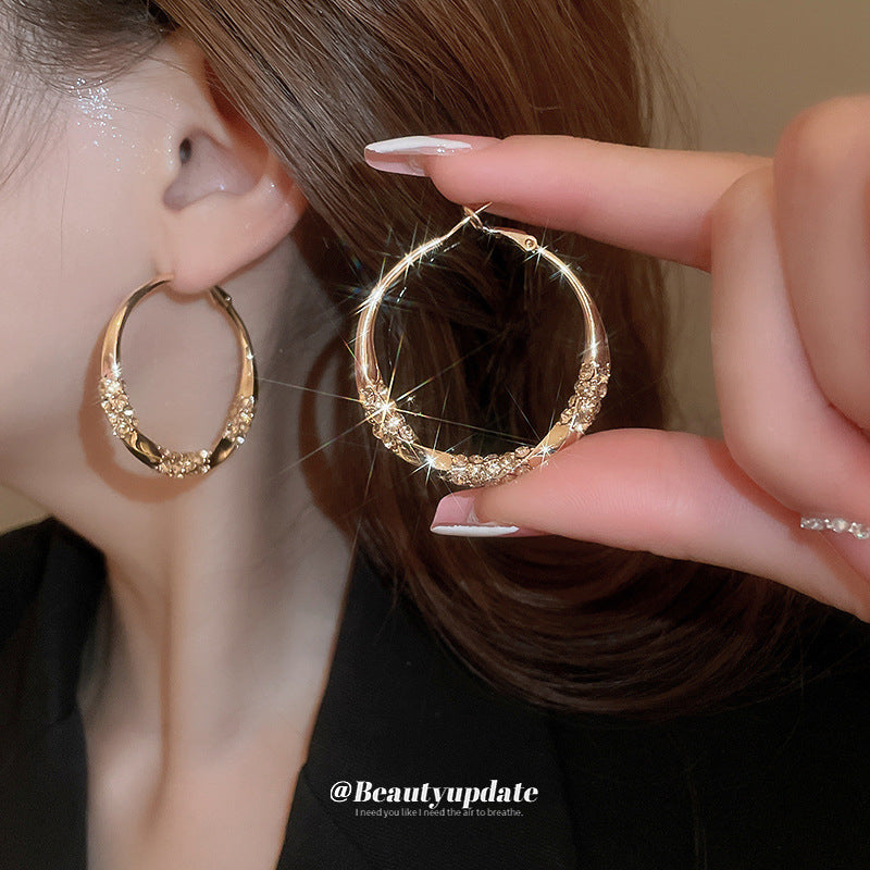 Sier Needle High-grade Twisted Rhinestone Ear Earrings