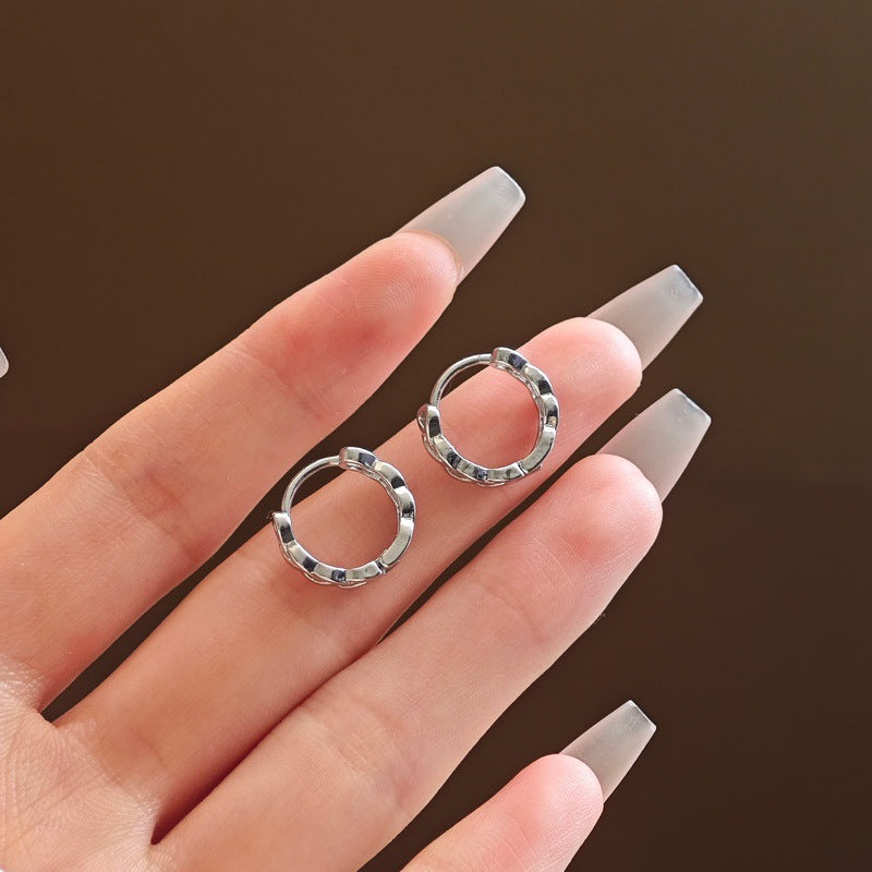 Light Luxury Niche Bag Advanced Metal Earrings