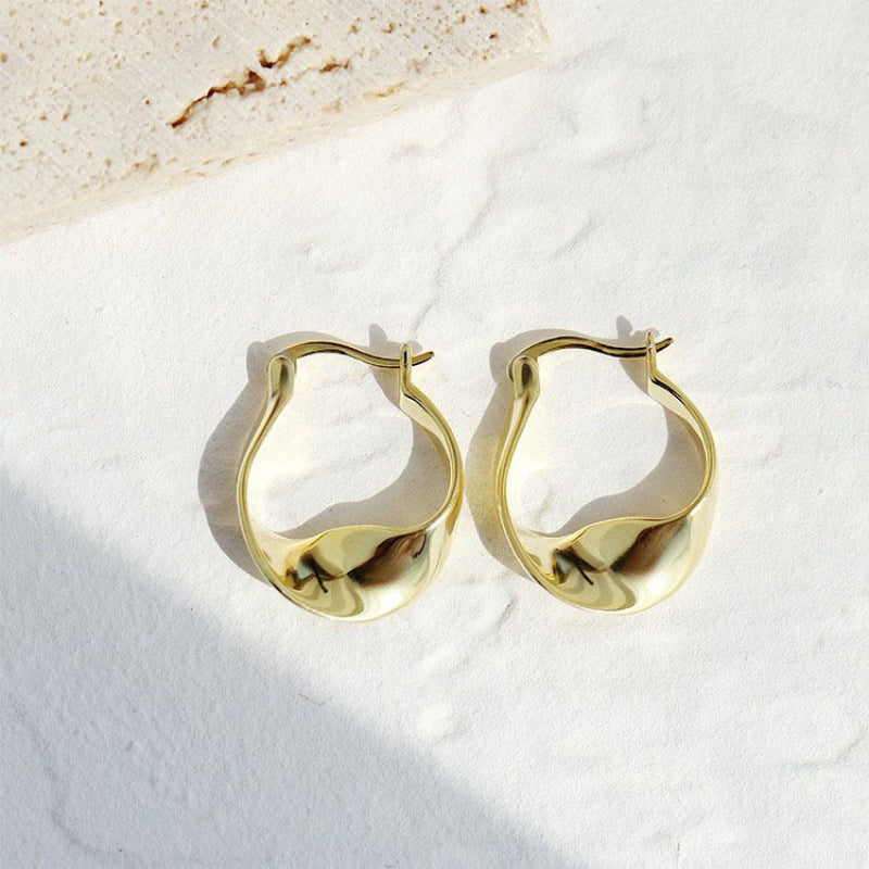 Women's Luxury High-grade Sier Needle Simple Elegance Earrings