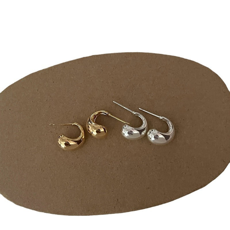 Wild Niche High-grade Light Luxury Sier Needle Earrings