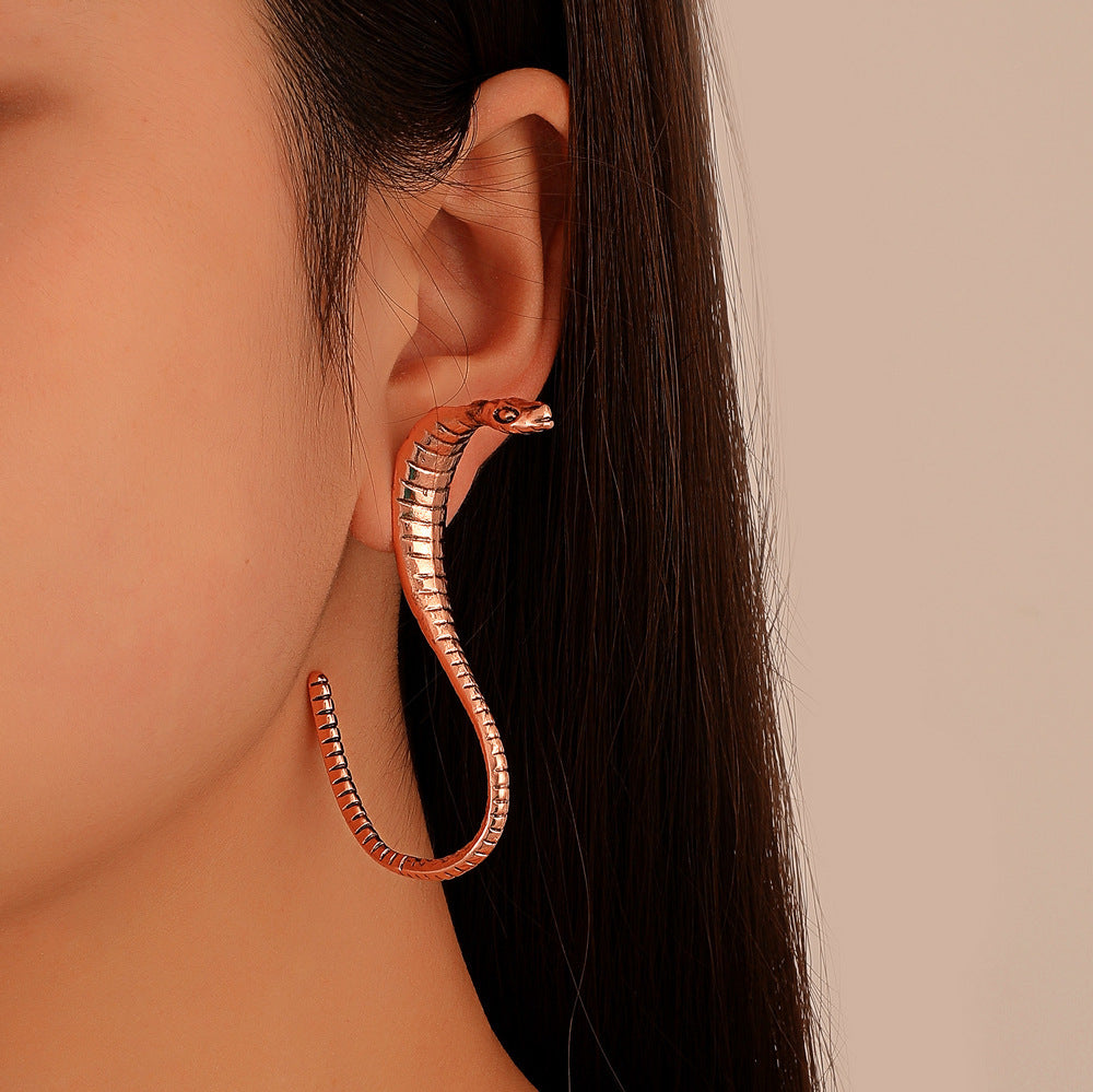 Exaggerated Snake Graceful Personality Pattern Ear Earrings