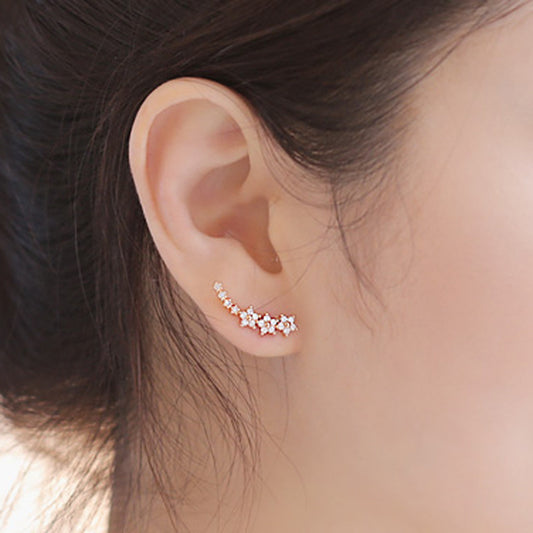 Women's Star Zircon Elegant Long Korean Style Earrings