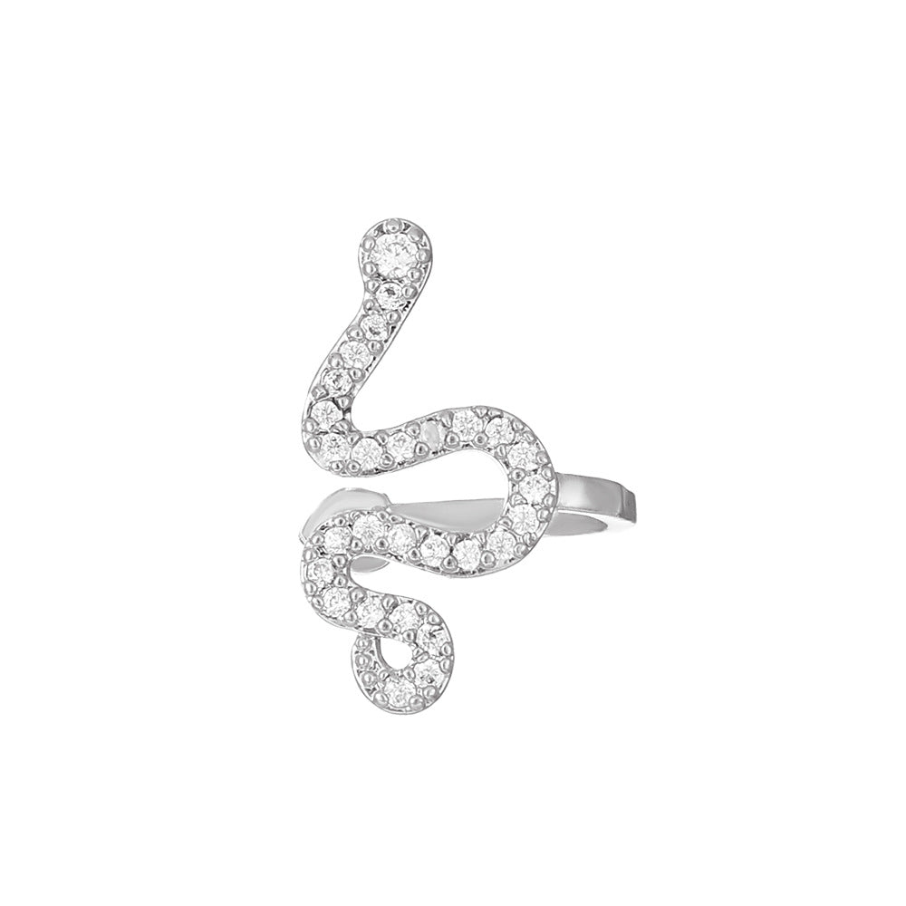 Exaggerated Snake Graceful Personality Pattern Ear Earrings