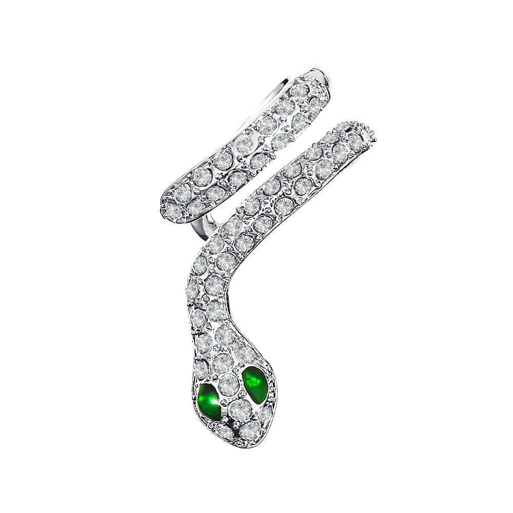 Exaggerated Snake Graceful Personality Pattern Ear Earrings