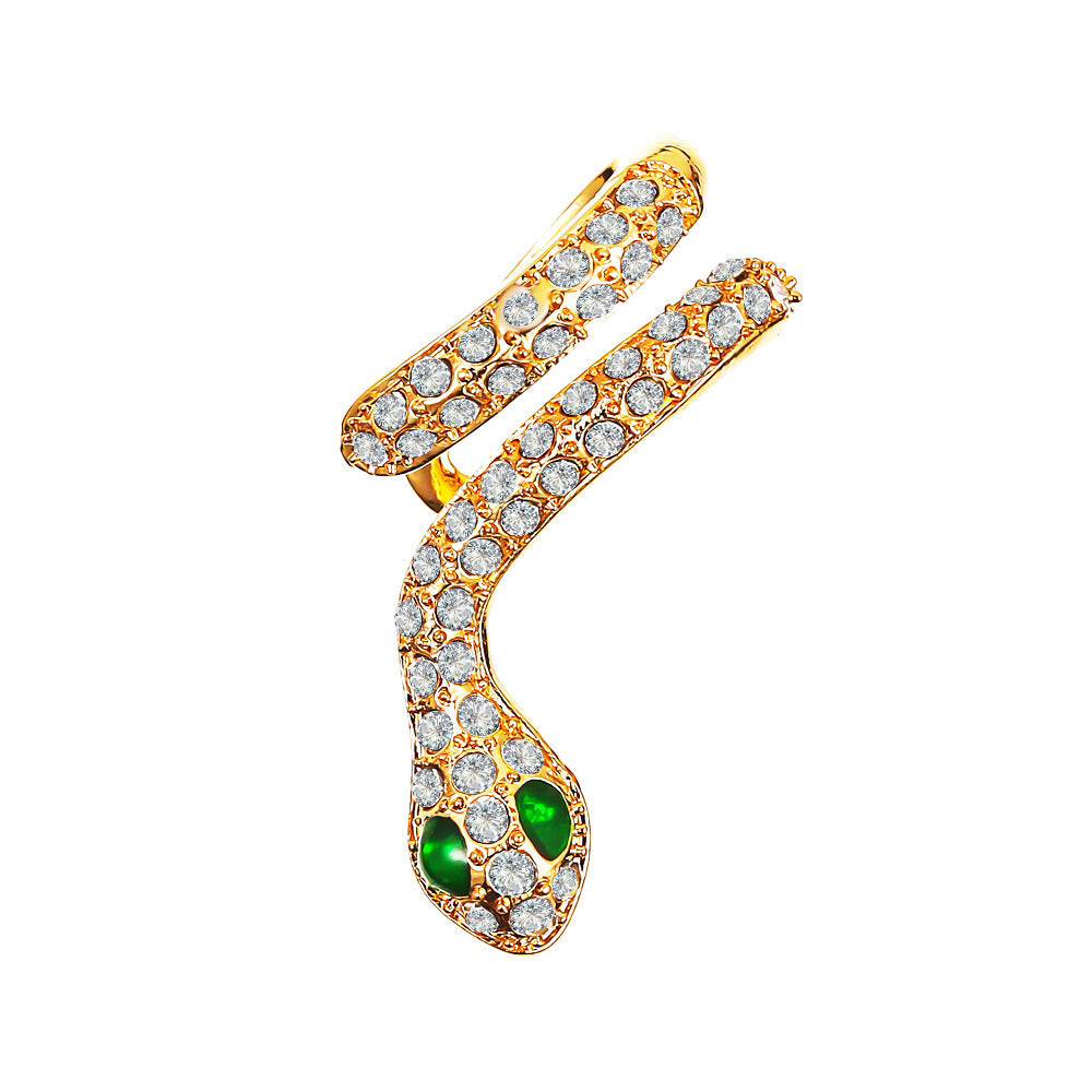 Exaggerated Snake Graceful Personality Pattern Ear Earrings