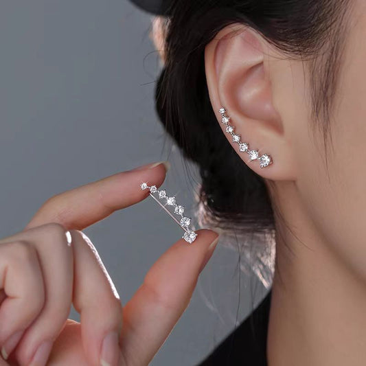 Women's Zircon Sier Needle Light Luxury Minority Design Sense Stud Earrings