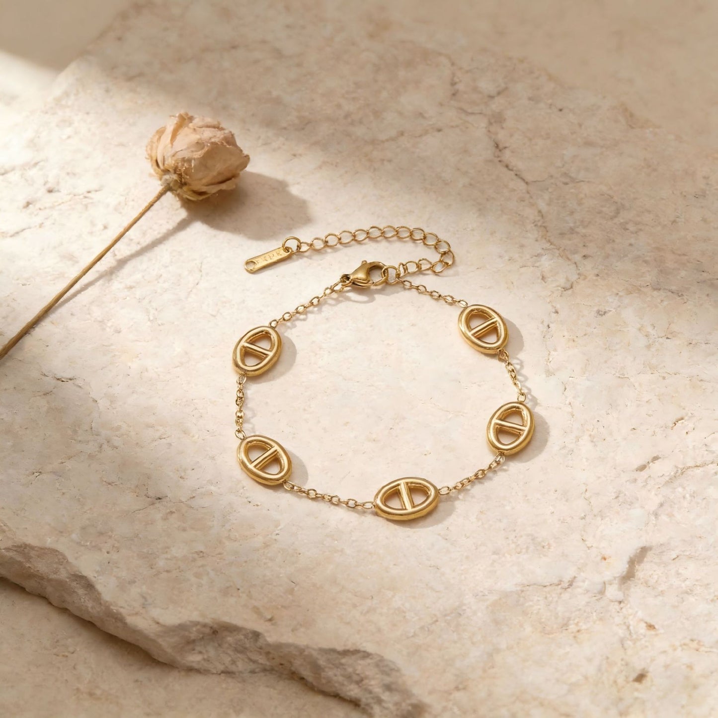 Elegant Pig Nose Sweater Chain Stainless Jewelry Set