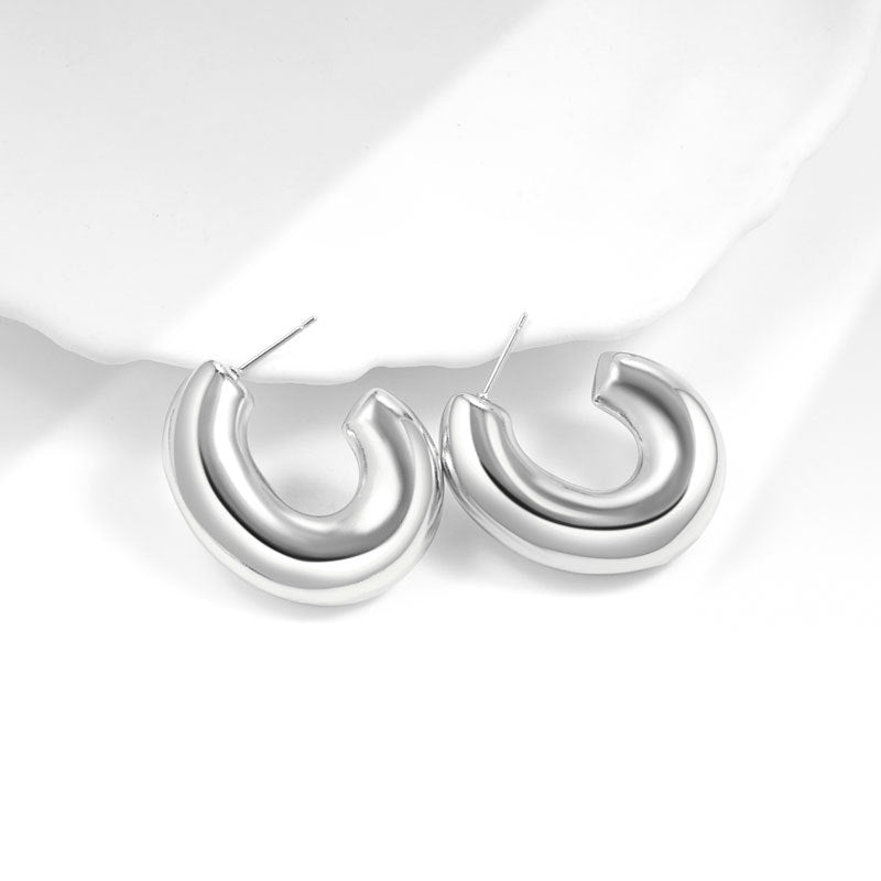 Geometric Metal Niche Design Frosty Style High Stud Earrings