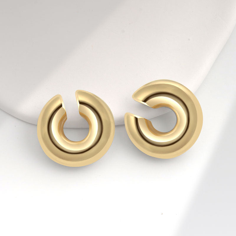 Geometric Metal Niche Design Frosty Style High Stud Earrings