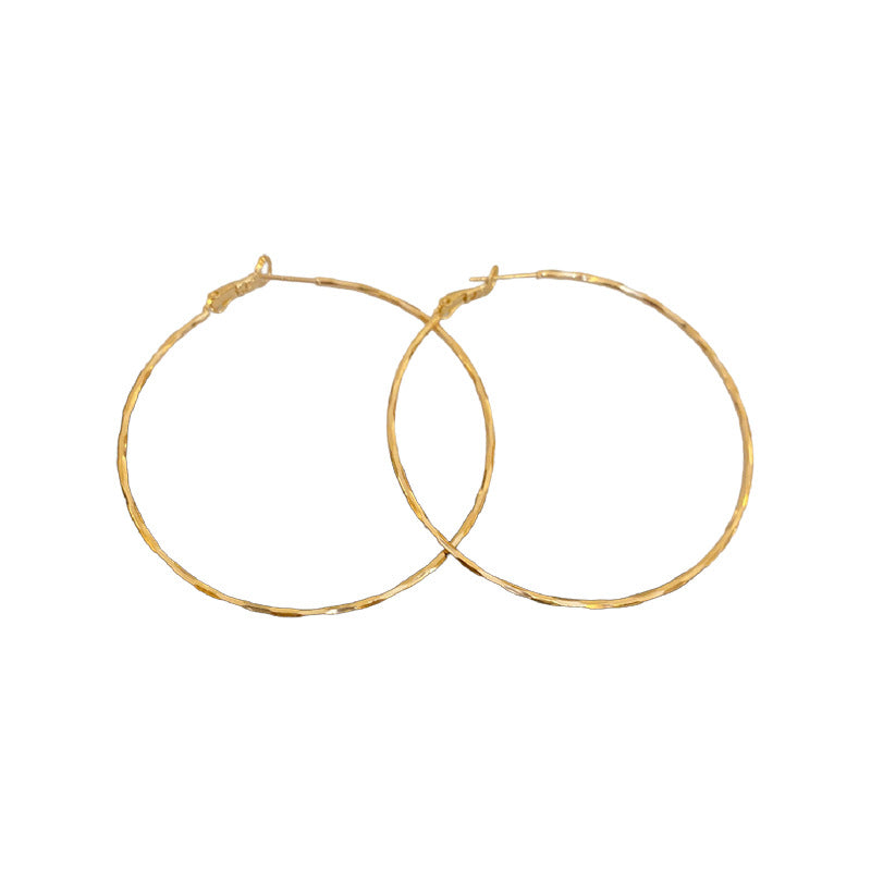 Women's Simple Geometric Large Hoop Elegant High-grade Earrings