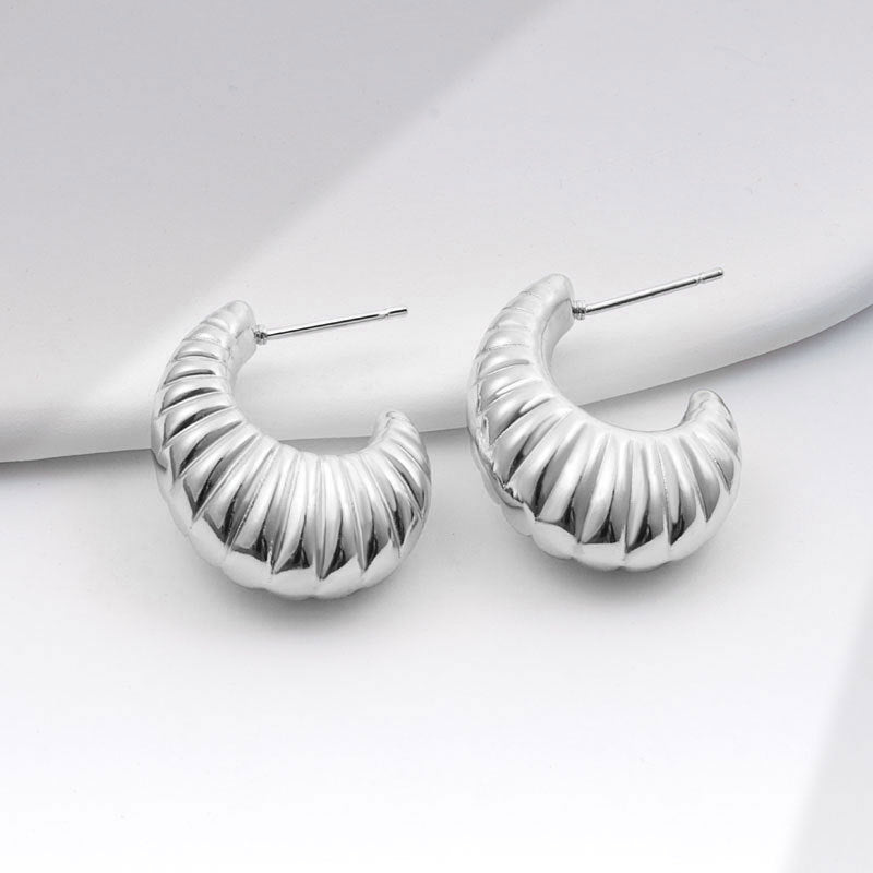 Geometric Metal Niche Design Frosty Style High Stud Earrings