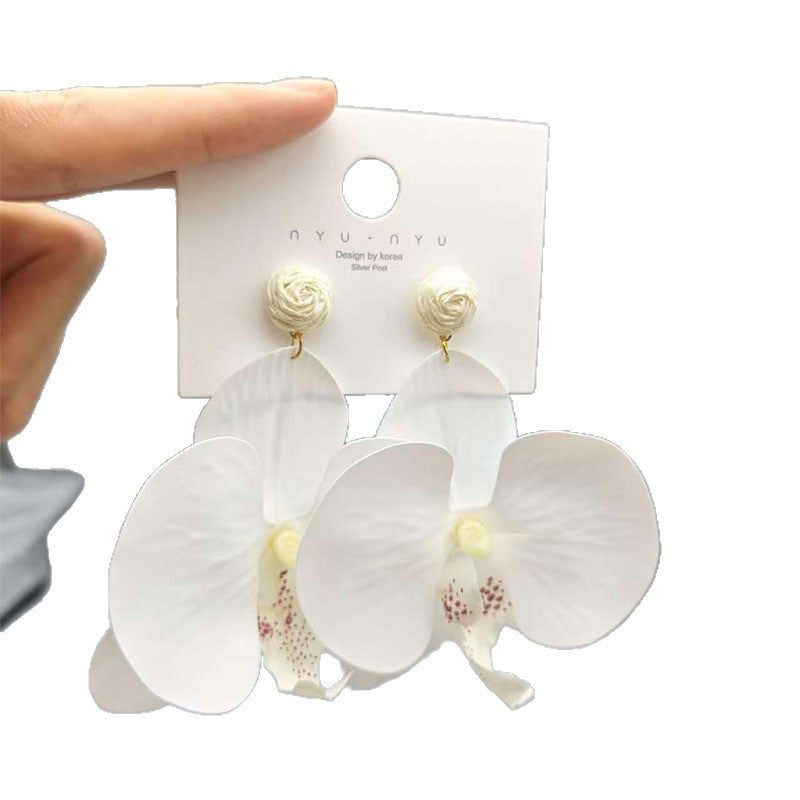 Women's Personalized Three-dimensional Phalaenopsis Flower Head Flowers Exaggerated High Sense Stud Earrings