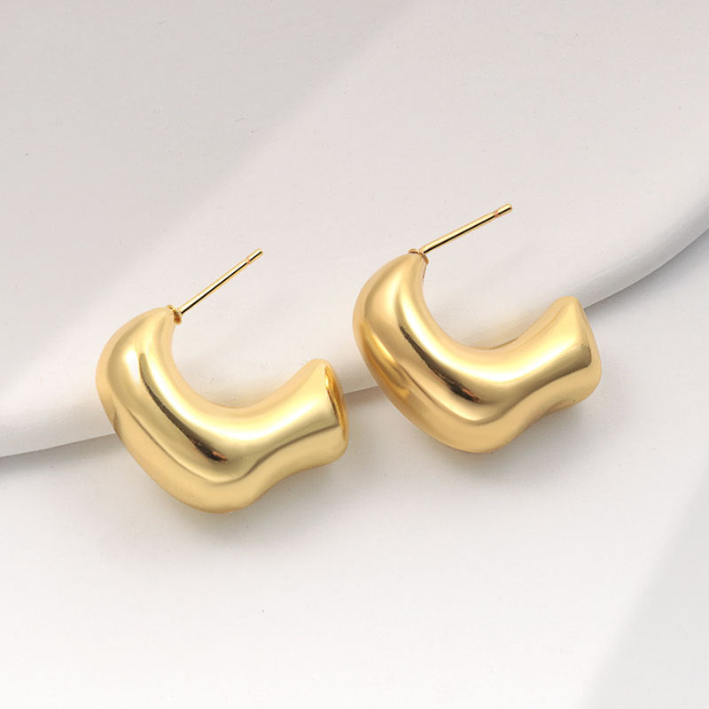 Geometric Metal Niche Design Frosty Style High Stud Earrings