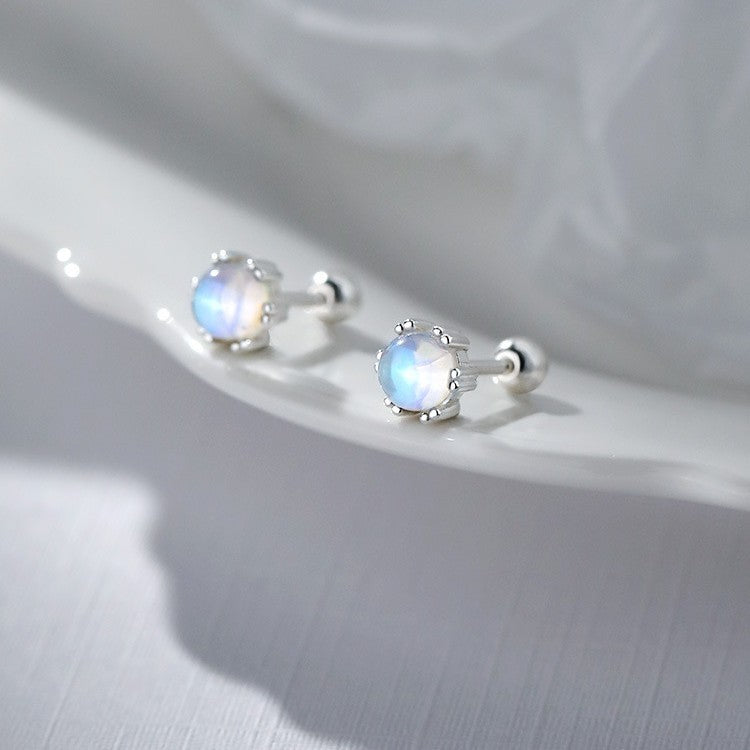 Sier Needle Screw Tightening Buckle Small Light Luxury Temperament Ear Earrings