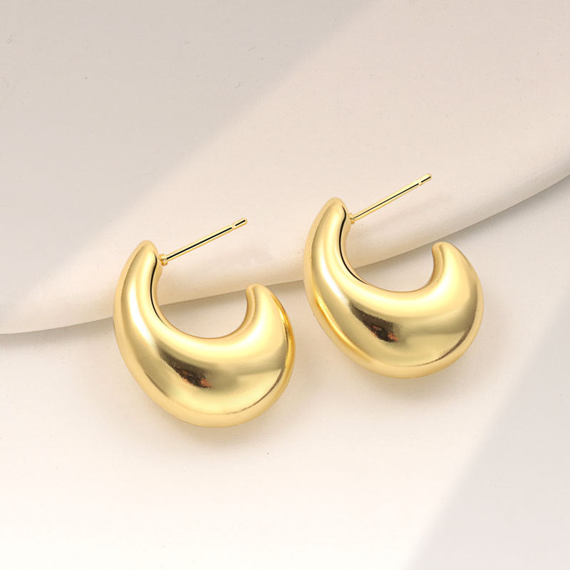 Geometric Metal Niche Design Frosty Style High Stud Earrings