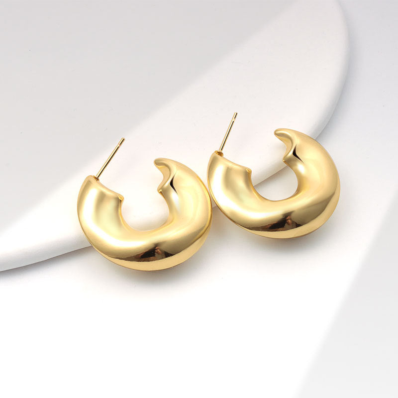 Geometric Metal Niche Design Frosty Style High Stud Earrings