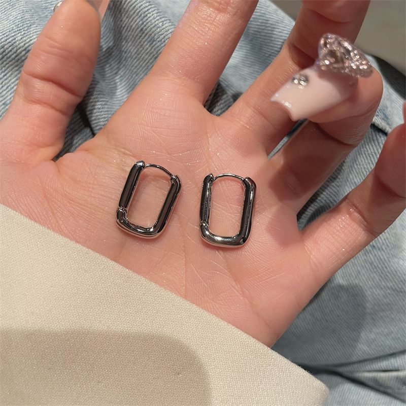Temperament Niche Ear Jewelry Light Luxury Earrings