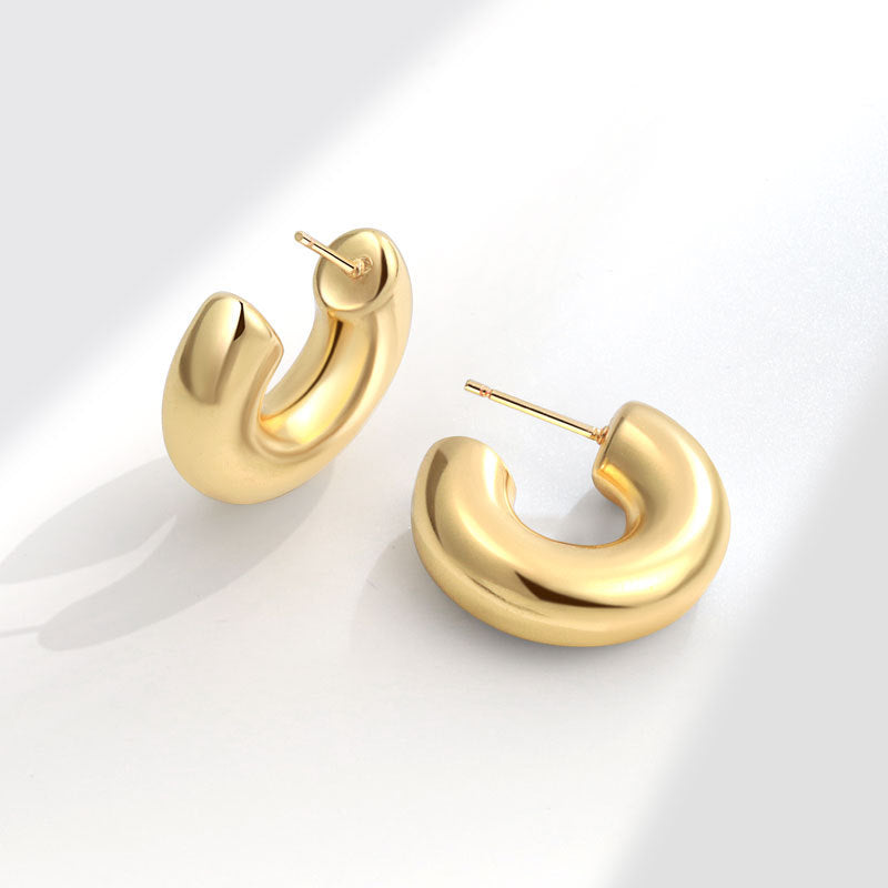 Geometric Metal Niche Design Frosty Style High Stud Earrings