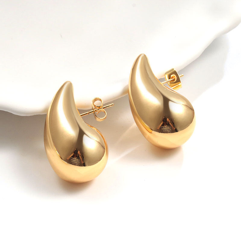 Geometric Metal Niche Design Frosty Style High Stud Earrings