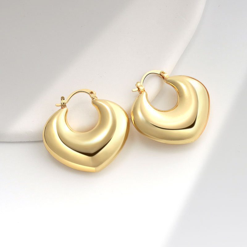 Geometric Metal Niche Design Frosty Style High Stud Earrings